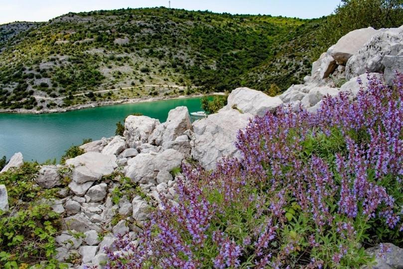 Sea View Villa Monte Alba Peruški Dış mekan fotoğraf